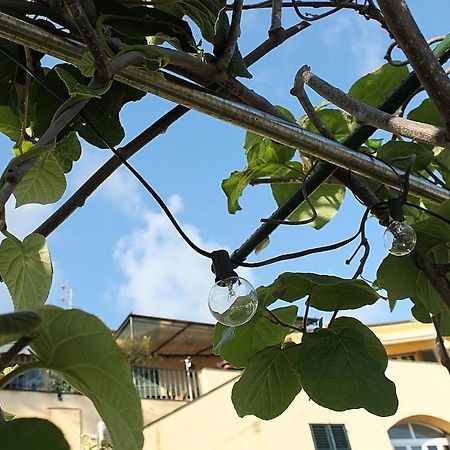 Marenostrum 皮耶韦利古雷 外观 照片